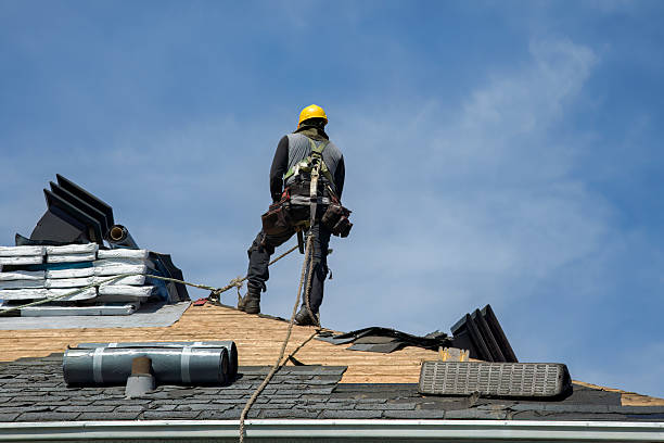 Professional Storm Damage Roof Repair technician working in Waterloo, WI